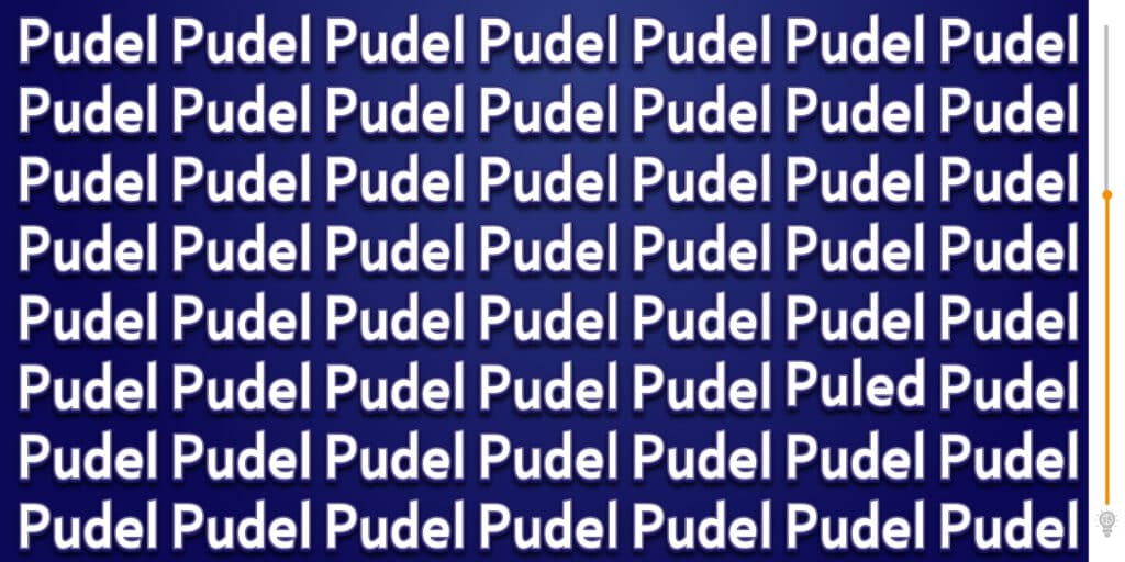 Uwaga orła! Czy możesz znaleźć ukryty błąd w łamigłówce „Pudel”?